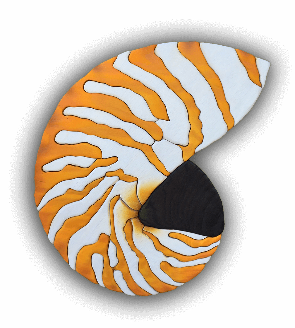 A custom Intarsia Art piece by Nick Vidakovic of a nautilus