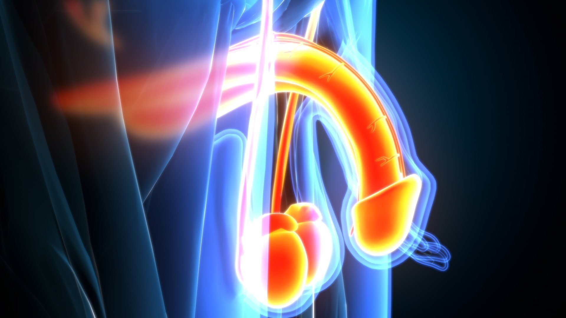 Cirurgia de fimose causa impotência sexual