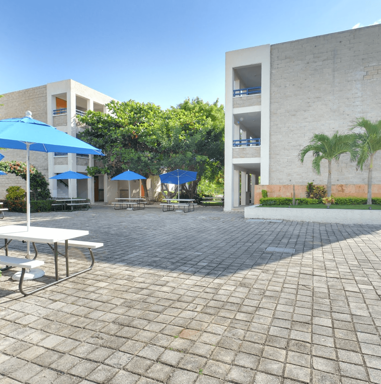 google-street-view-colegios-recorridos-virtuales-360-datalogyx