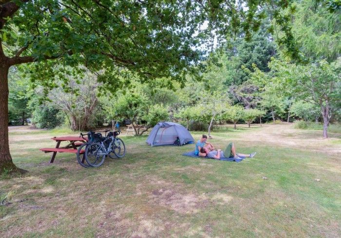 Camping scene: tent, picnic table, bicycles, and person relaxing on a mat under a tree.