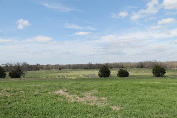 A large grassy field with trees in the background and a blue sky with clouds.