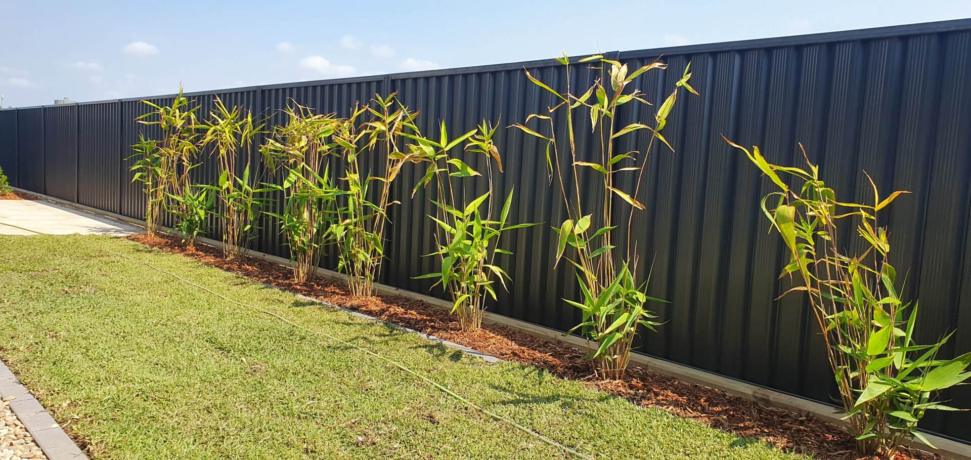 Outside View of Fences — Fences in Aylmerton, NSW
