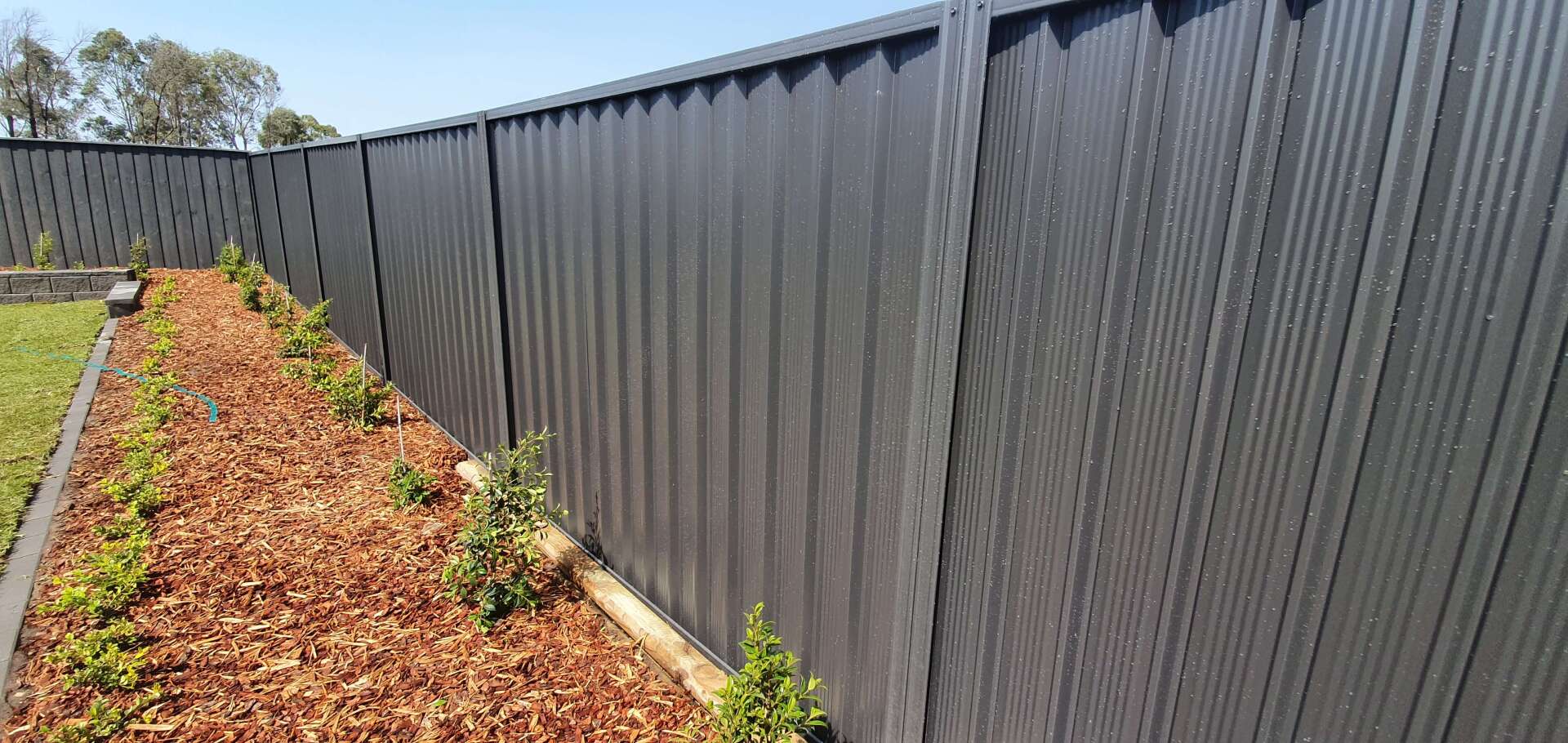 Closed View of Metal Fences on the Garden — Fences in Aylmerton, NSW