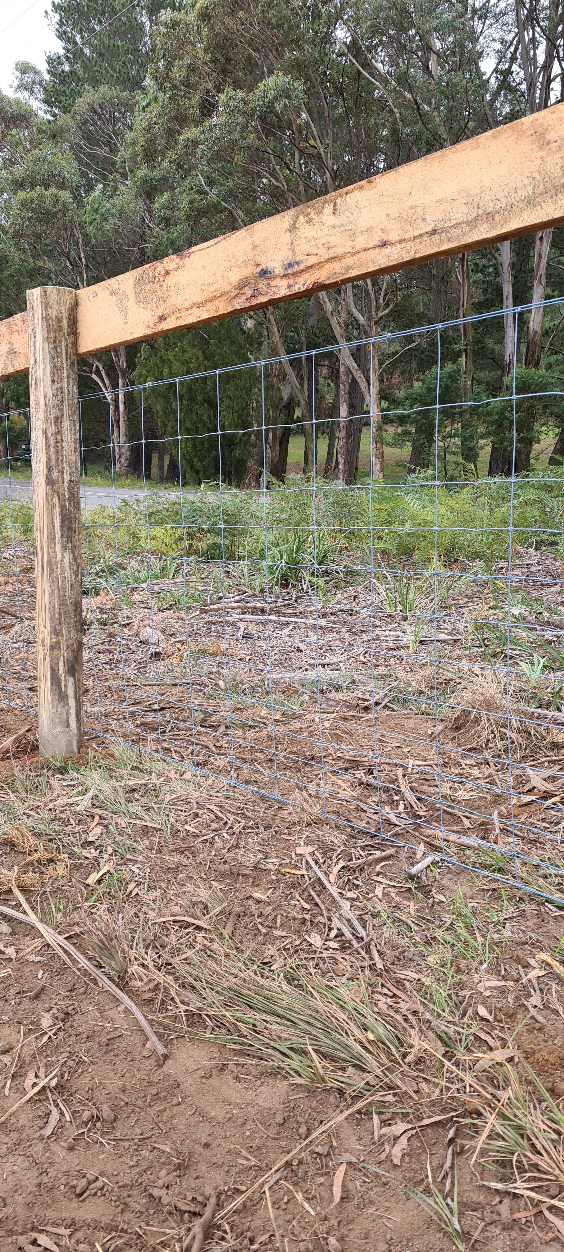 Mesh Railing — Fences in Aylmerton, NSW