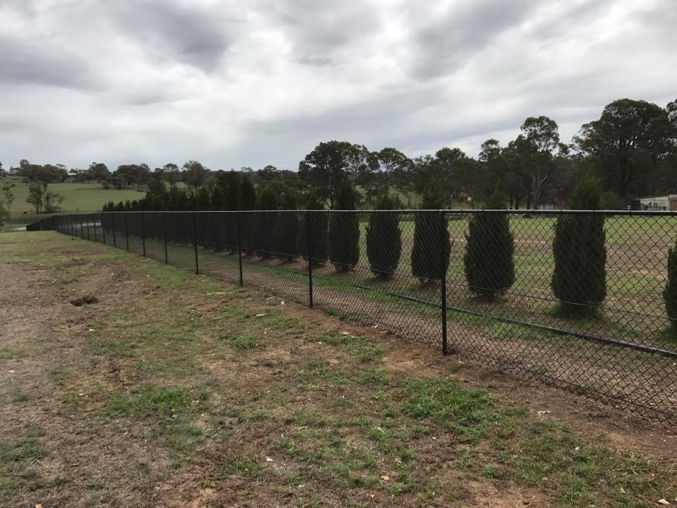 Chain Fencing — Fences in Aylmerton, NSW