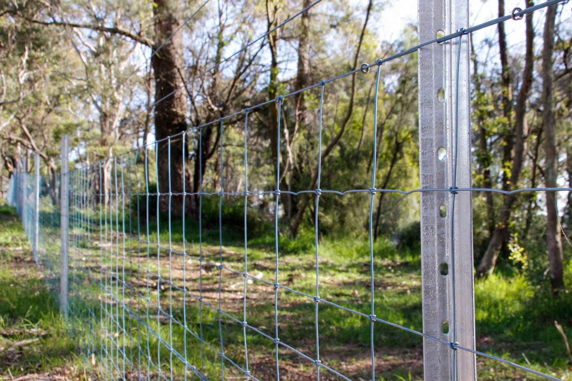 Mesh Fence — Fences in Aylmerton, NSW