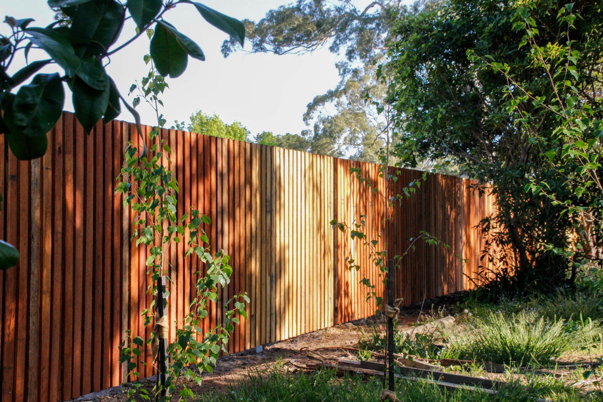 Backyard Fence — Fences in Aylmerton, NSW