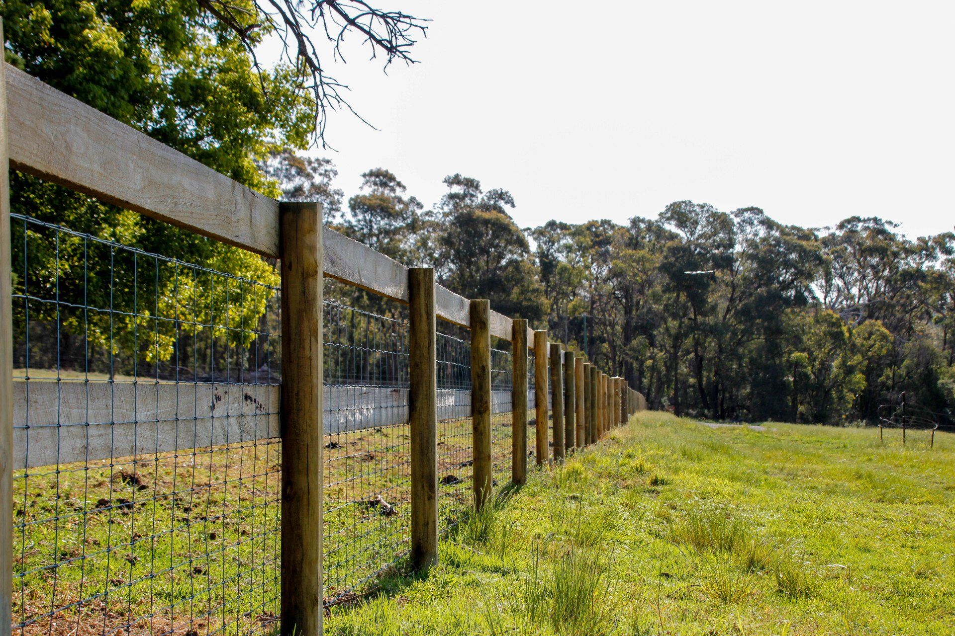 Wide View Custom Fence — Fences in Aylmerton, NSW