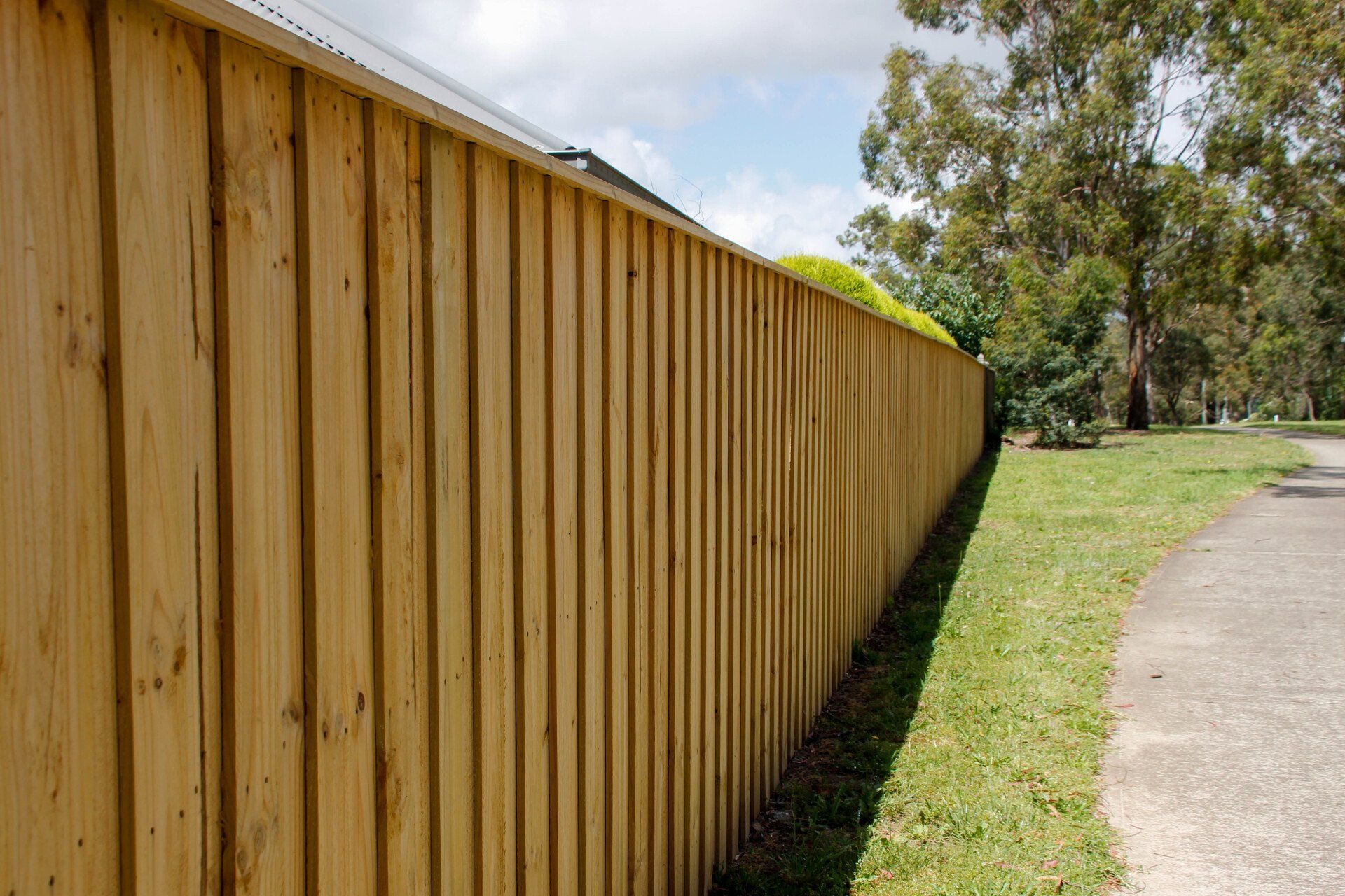 Left Side View of Residential Fence — Fences in Aylmerton, NSW