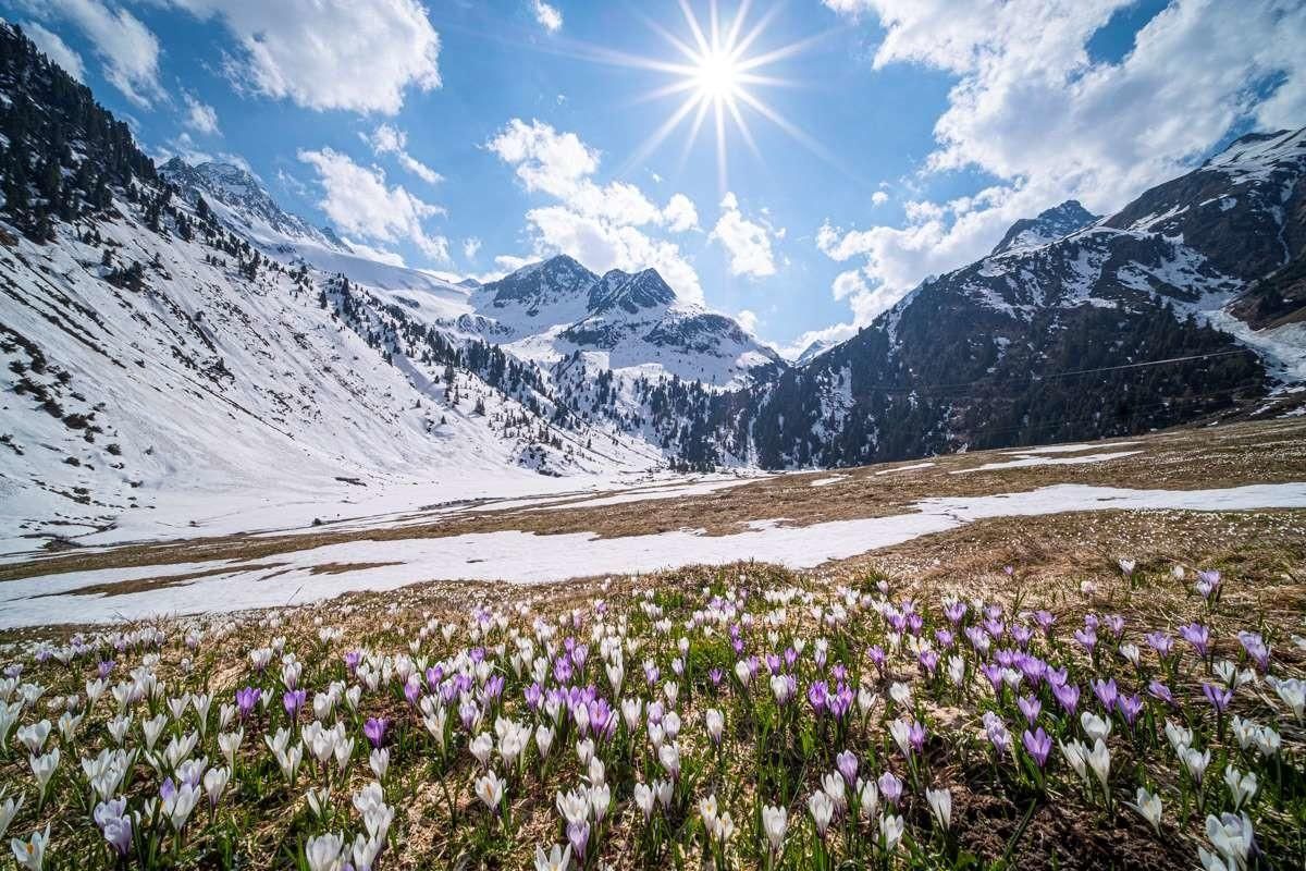 Mountain landscape with snow, wildflowers, and a bright sun in a blue sky.