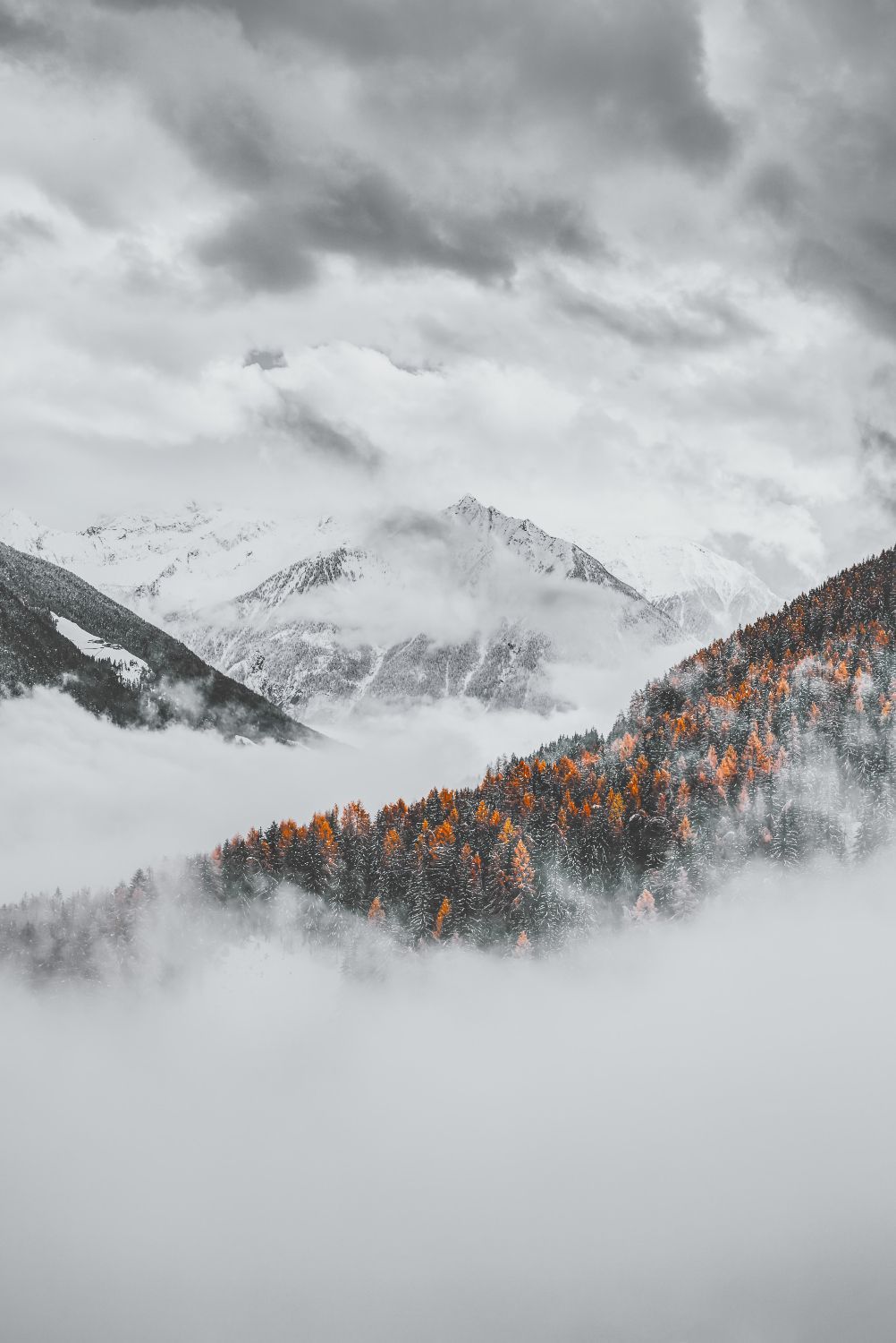 Mountain landscape with snowy peaks, autumn trees in orange and white mist. Overcast sky.