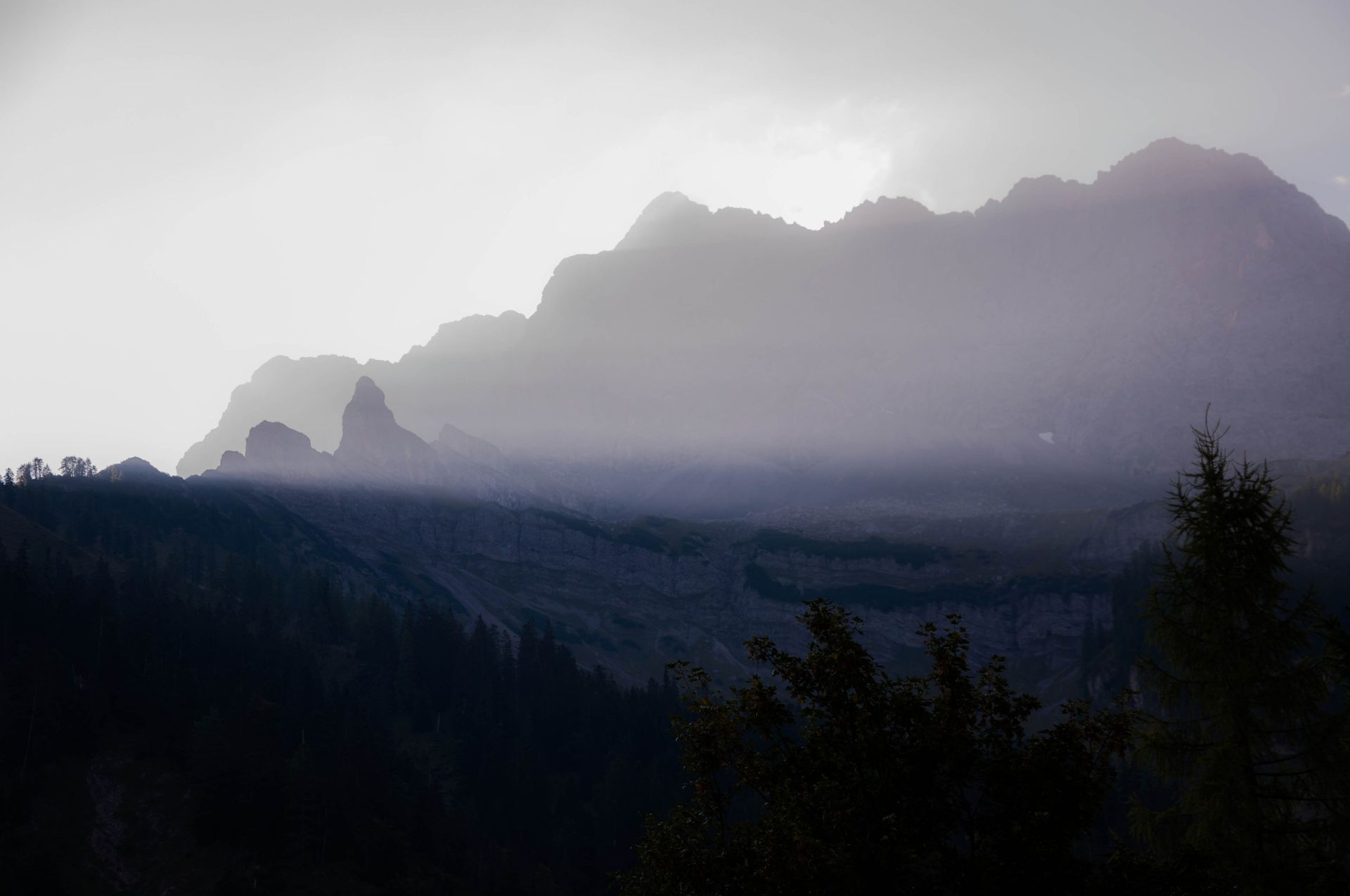 Mountains shrouded in mist, silhouetted against a pale sky. Forest in the foreground.