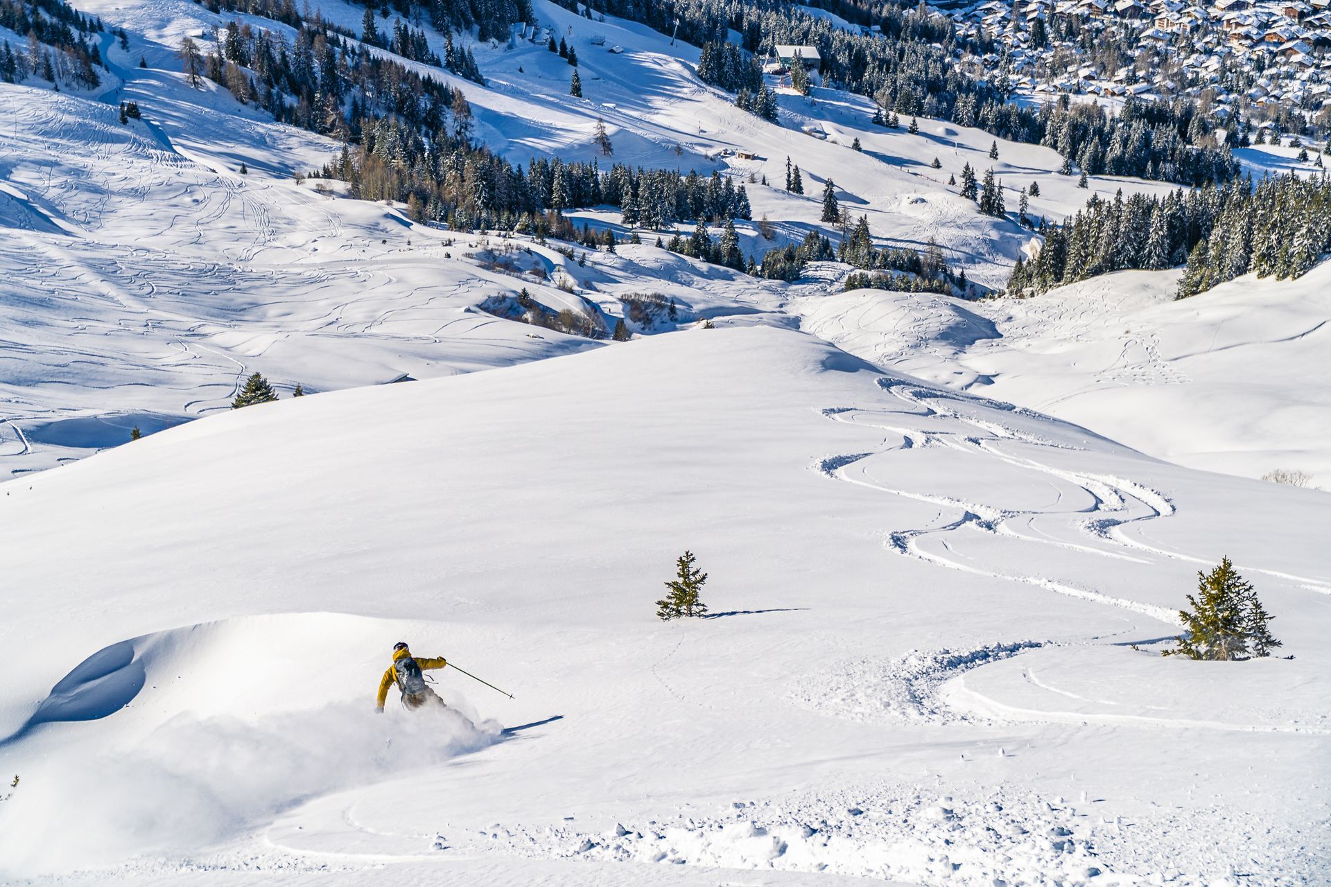 Skier in yellow jacket carving fresh tracks down a snowy mountain slope.