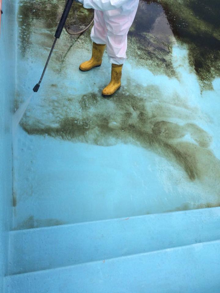 COZZETTO PULIZIA PISCINE