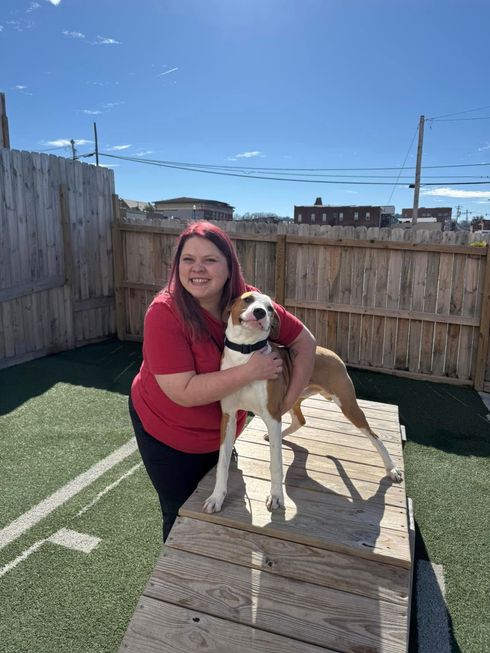 A woman is standing next to a dog on a wooden platform.