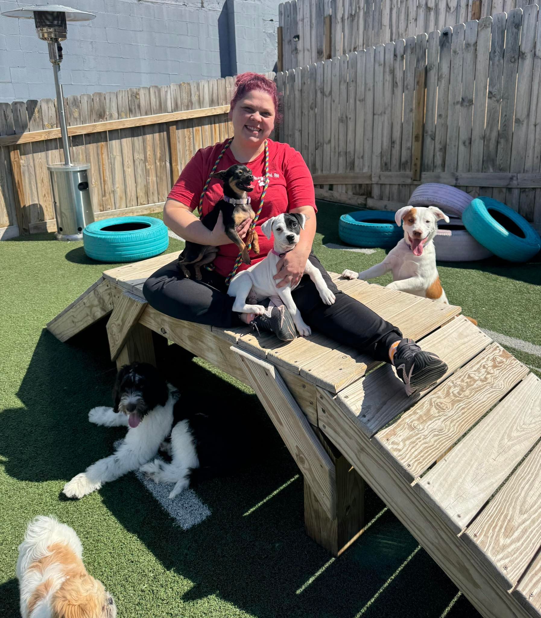 A woman is sitting on a wooden bench with three dogs.