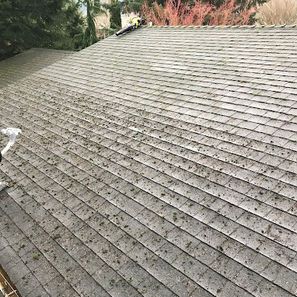 Asphalt shingle roof covered in moss.