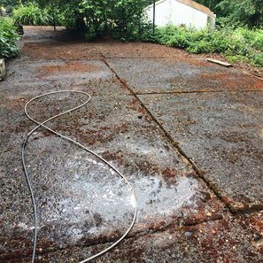Wet, stained concrete driveway with a hose, in front of a shed, surrounded by greenery.