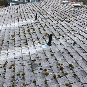 Gray shingle roof covered in moss, with two black vents and a white rope.