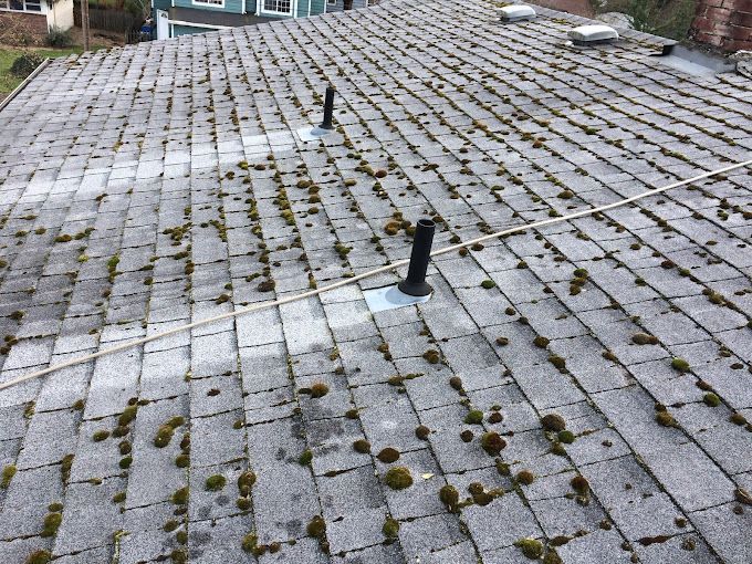 Asphalt shingle roof covered in moss; two vent pipes protrude.