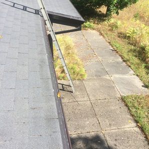 A roof gutter with a ladder next to concrete stepping stones and tall grass.