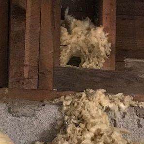 Hole in wooden framing with light-colored insulation filling it and on the surface below.