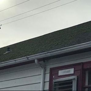 Green moss on a roof, white house with a red door, and power lines against a cloudy sky.