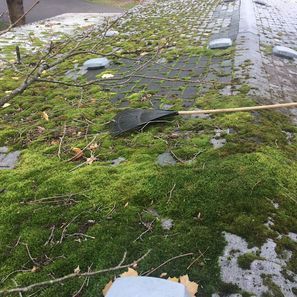 Moss-covered rooftop with leaves and debris. Gray tiles, green moss, and a dark plastic object are visible.