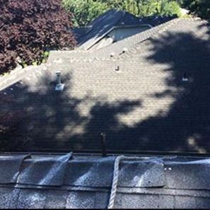 Roofs of multiple houses. Black asphalt shingles, shadows from trees, overcast lighting.