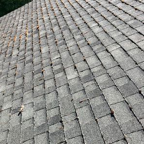 Gray asphalt shingle roof with some discoloration and debris.