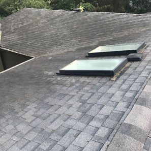 Gray shingle roof with two skylights. The roof appears weathered and dirty.
