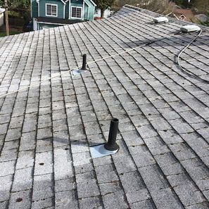 Gray asphalt shingle roof with two black pipes and a white cable.