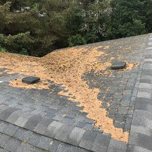 A shingled roof covered in pine needles, with two square vents. Trees in the background.