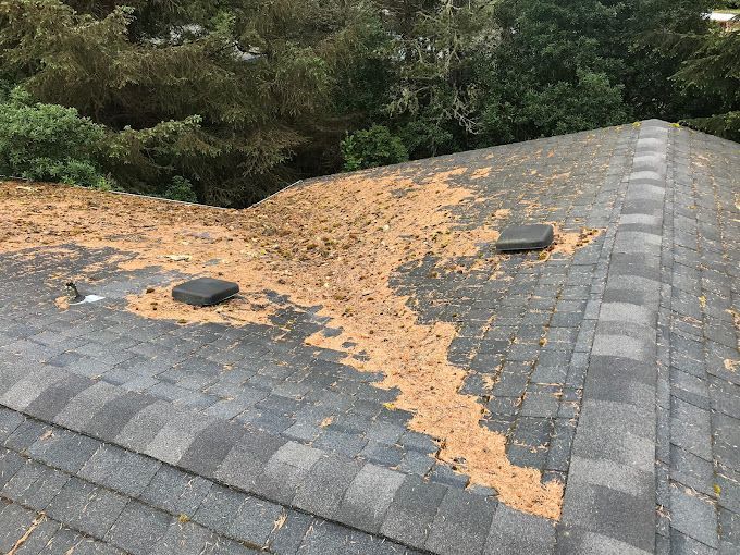Roof covered with brown debris, two black vents, against green trees.