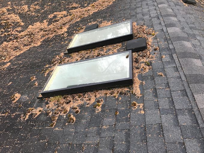 Two rectangular skylights on a shingled roof, covered with debris.