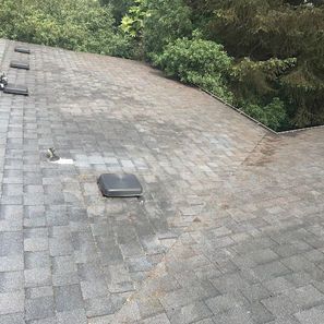 A shingled roof with a dark gray color is seen with trees in the background.