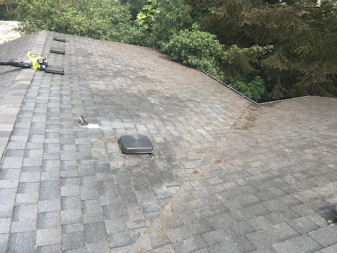 Gray shingled roof with a dark stain. Vent and leaf blower visible. Trees in the background.