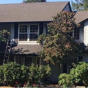 House with brown roof, white windows, surrounded by green bushes and trees. A ladder rests against the house.