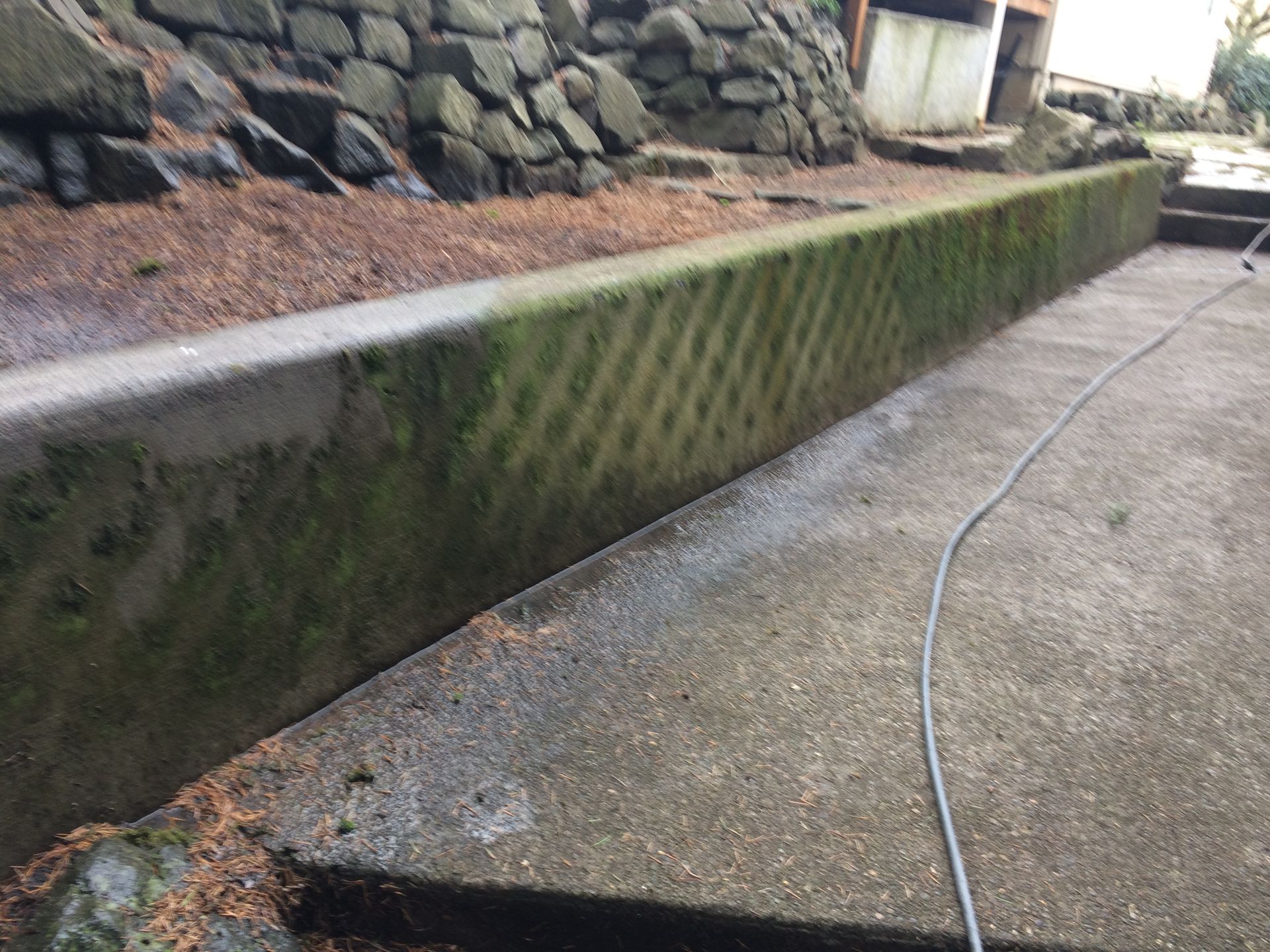 Concrete ledge covered in green moss with a patterned design, near a stone wall and paved walkway.