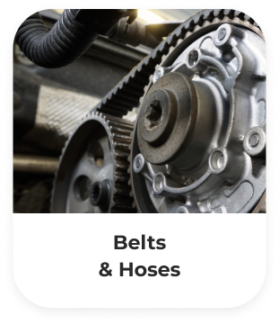 Timing Belt Replacement in Bremerton, WA - Complete Auto Repair