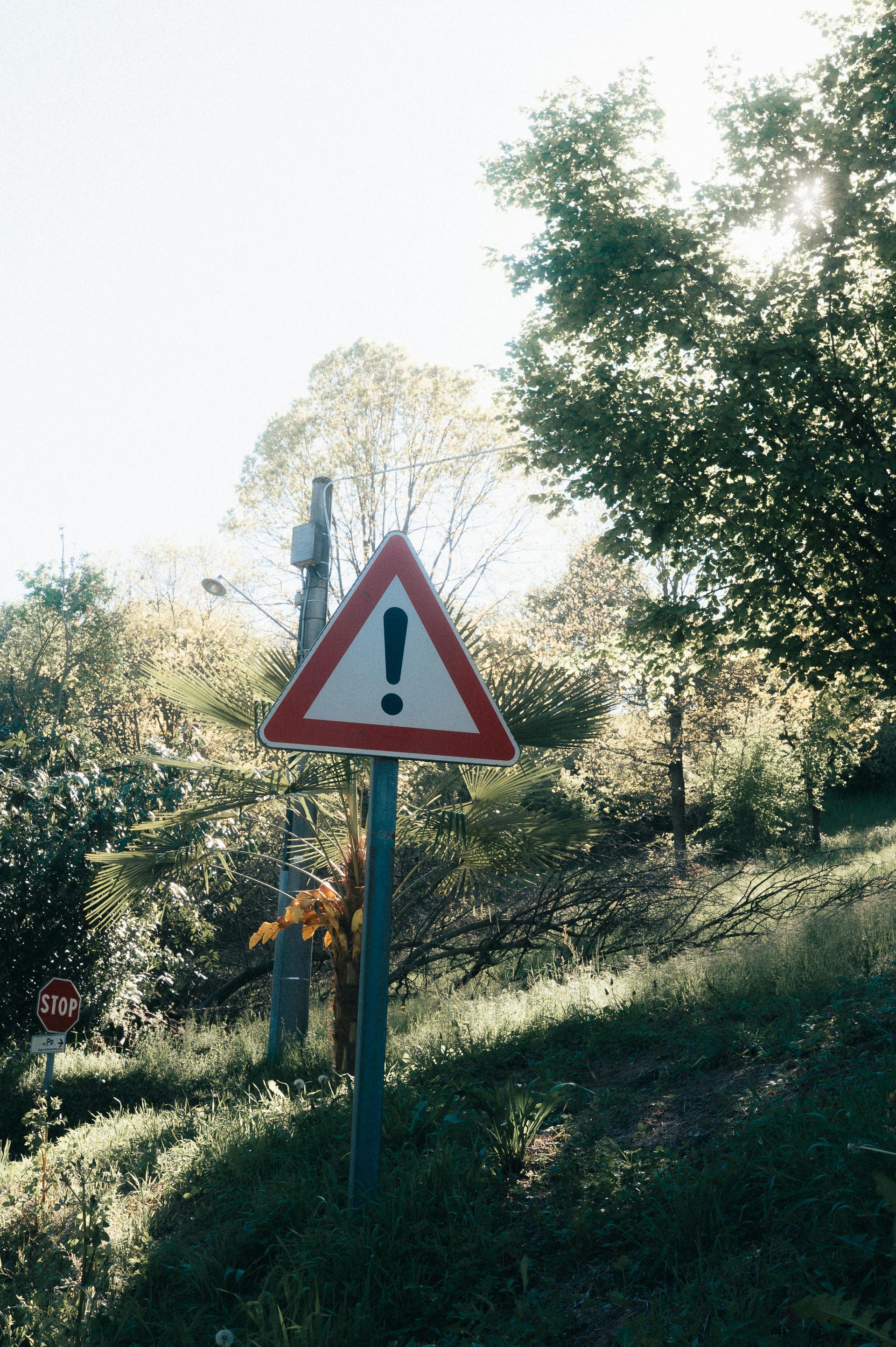 A triangular yellow road sign with a black exclamation point on a pole, situated on a grassy roadside near trees.