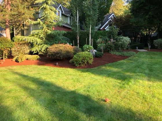 Affordable Landscaping — Beautiful Landscape in Monroe, WA