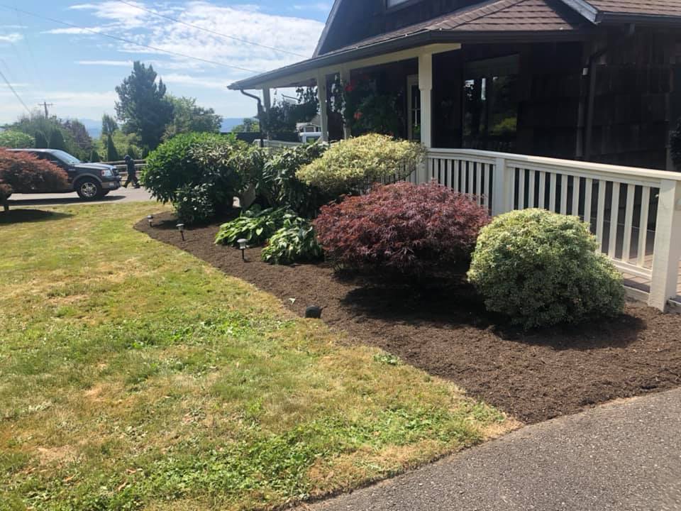 Outside Brush After — Monroe, WA — Noriega Landscaping