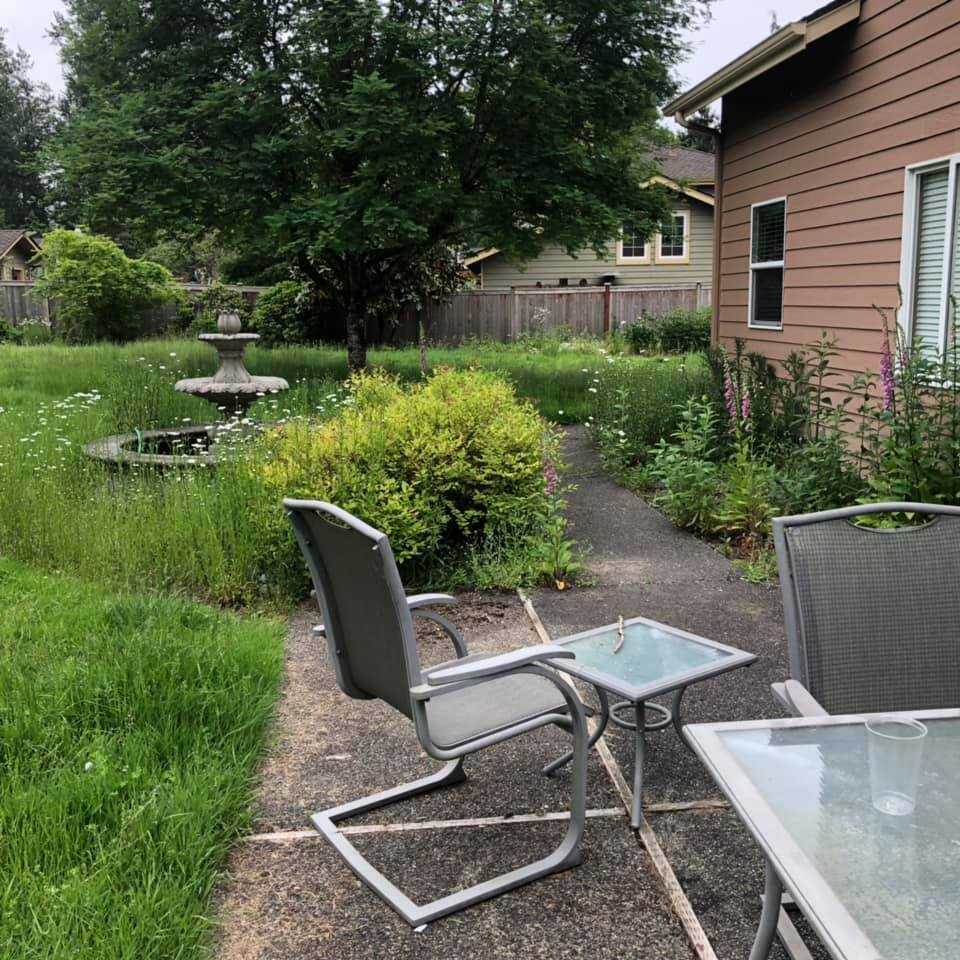 Backyard Cleanup Before — Monroe, WA — Noriega Landscaping