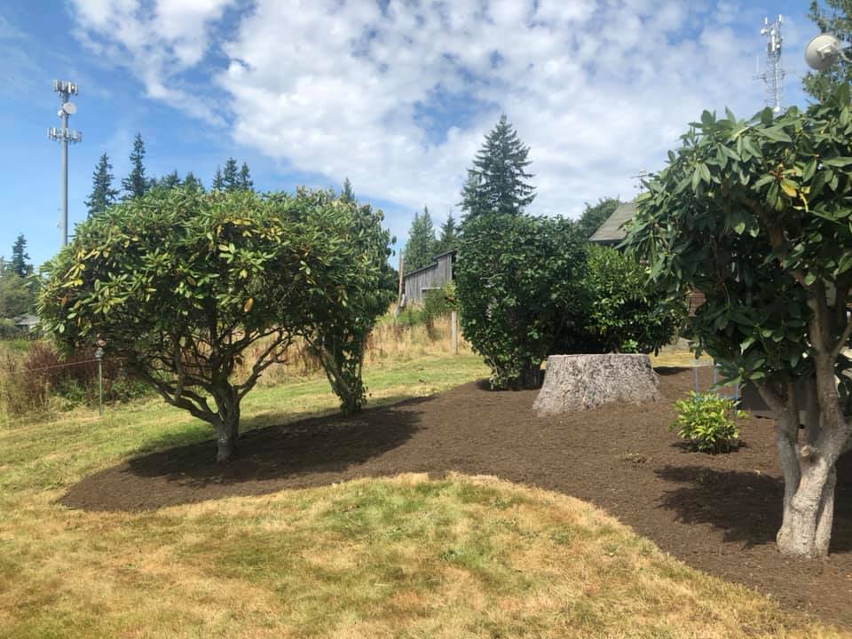 Bed Cleanup After — Monroe, WA — Noriega Landscaping