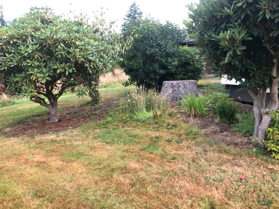 Bed Cleanup Before — Monroe, WA — Noriega Landscaping