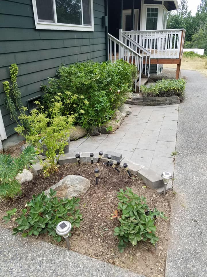 Bush Overgrowth After — Monroe, WA — Noriega Landscaping