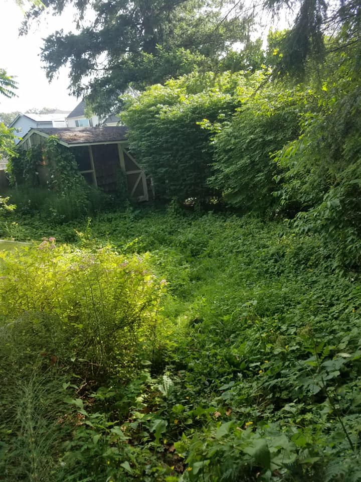 Deweeding Before — Monroe, WA — Noriega Landscaping