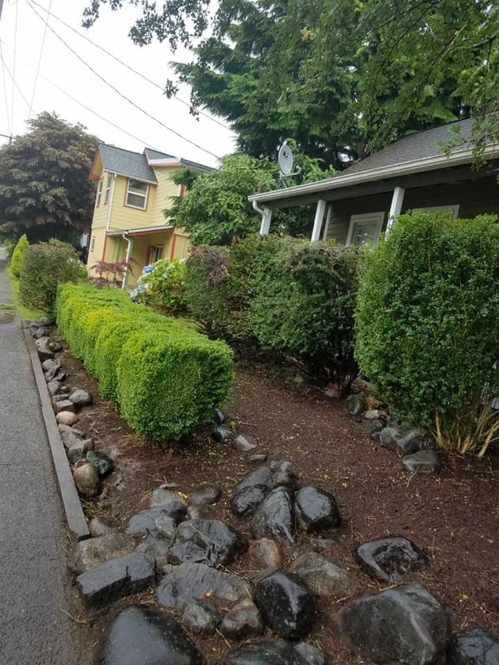 Extreme Cleanup And Deweeding After — Monroe, WA — Noriega Landscaping
