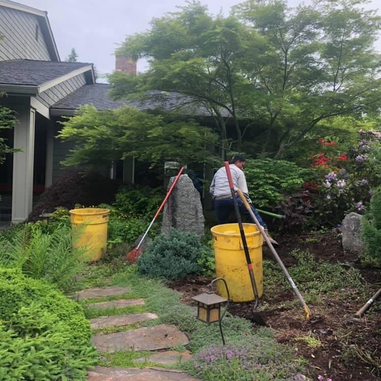 Front Yard Cleanup Before — Monroe, WA — Noriega Landscaping